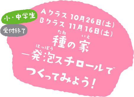 種の家 ―発泡（はっぽう）スチロールでつくってみよう！